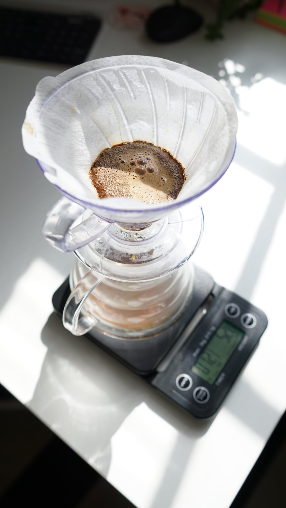 Hario V60 Coffee Brewer